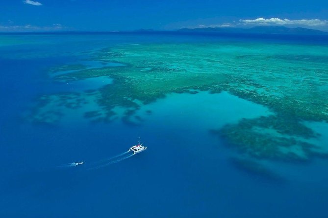Full-Day Great Barrier Reef Sailing Trip from Cairns - What you may see beneath the surface