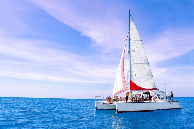 Full-Day Great Barrier Reef Sailing Trip from Cairns - Food throughout the nine-hour day