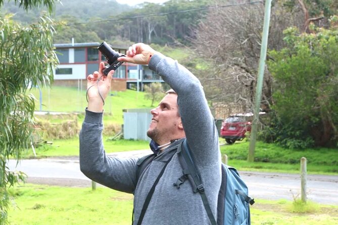 Full-Day Great Ocean Road and 12 Apostles Sunset Tour from Melbourne - Anglesea and the first taste of coastal Australia