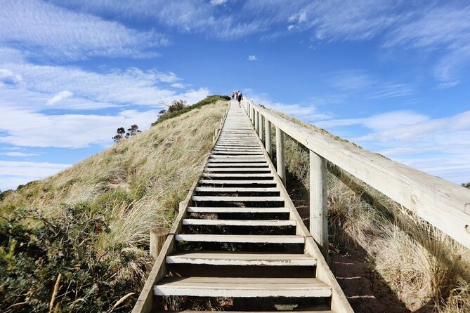 Full-Day Guided Bruny Island Tour from Hobart - The Neck lookout and its wide views