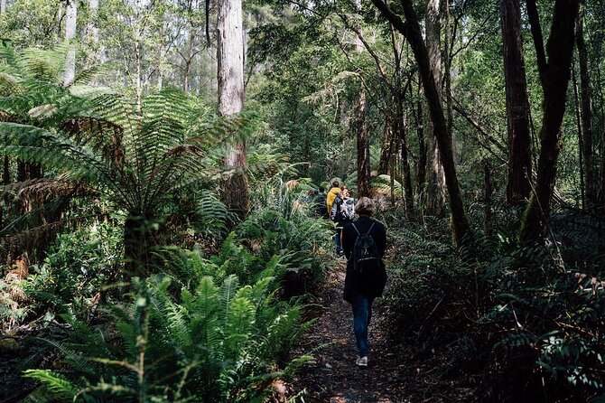 Full-Day Guided Bruny Island Tour from Hobart - Adventure Bay, beaches, and a little free time