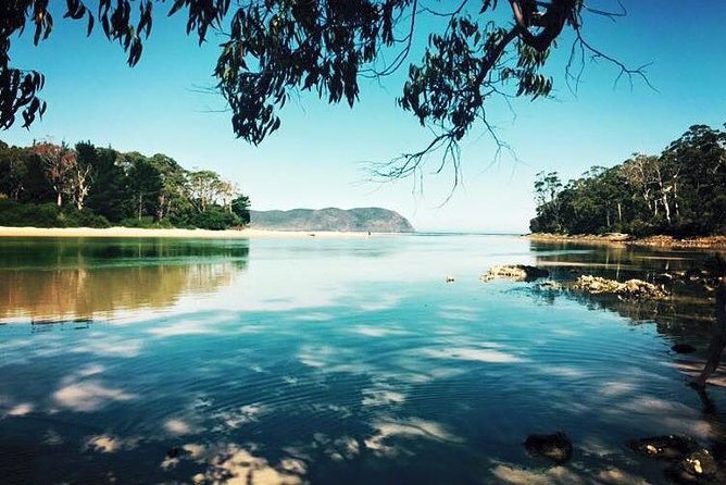 Full-Day Guided Bruny Island Tour from Hobart - Get Shucked and Bruny’s food culture