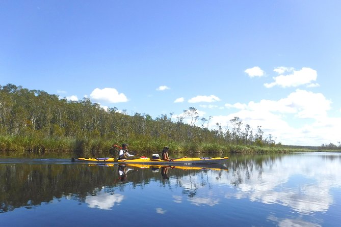 Full-Day Guided Noosa Everglades Kayak Tour - Paddling the Upper Noosa River
