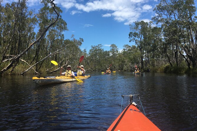 Full-Day Guided Noosa Everglades Kayak Tour - Lunch, fruit, bread, and a swim