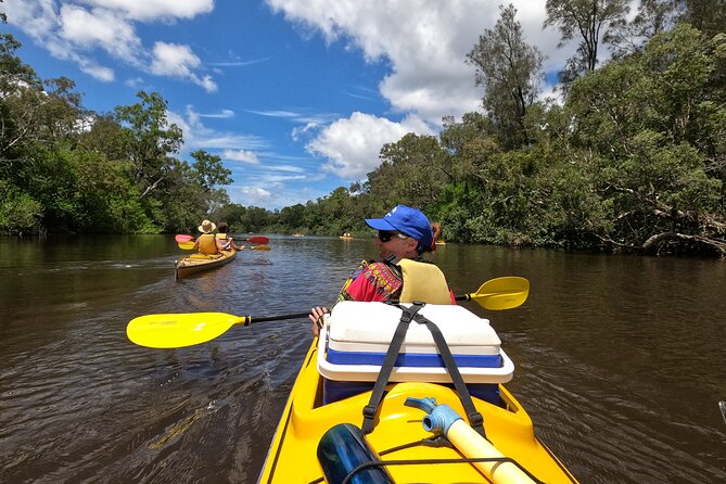 Full-Day Guided Noosa Everglades Kayak Tour - Who should book this paddle?