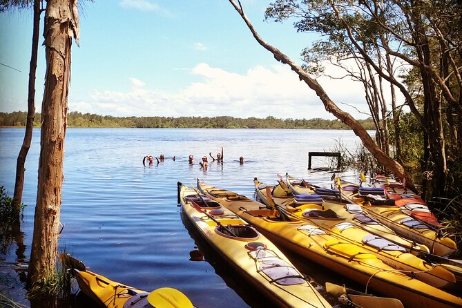 Full-Day Guided Noosa Everglades Kayak Tour - Weather, cancellation, and practical planning