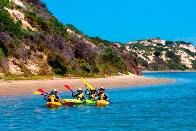 Full Day Kayaking Tour in Coorong National Park - Key points at a glance