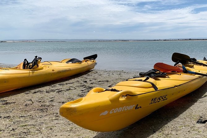 Full Day Kayaking Tour in Coorong National Park - Who will enjoy this day most