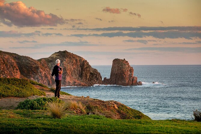 Full-Day Phillip Island Tour with Kangaroo, Koala and Penguin Parade - The Nobbies reveals Phillip Island’s rough coast