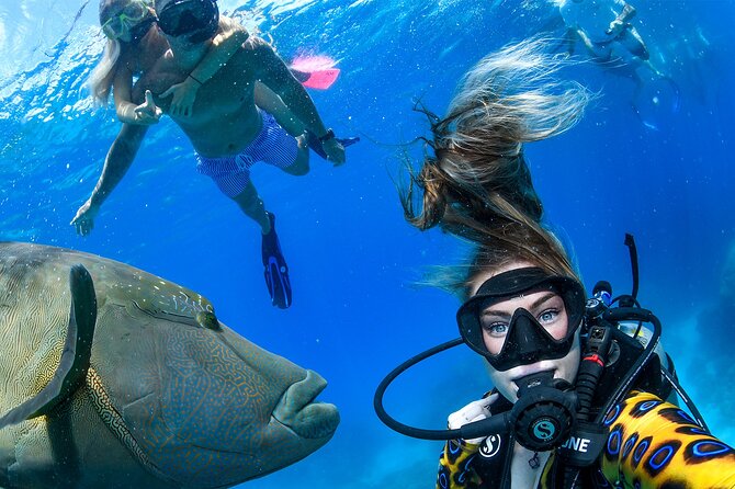 Full Day Reef Cruise and 10 Minute Helicopter Scenic Flight - Why this reef trip works so well