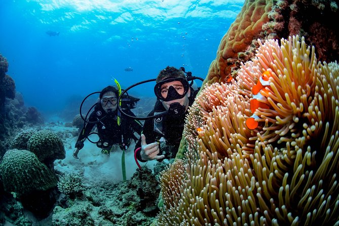 Full Day Reef Cruise and 10 Minute Helicopter Scenic Flight - BBQ lunch with reef views