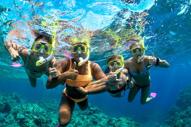 Full Day Reef Cruise and 10 Minute Helicopter Scenic Flight - Scuba options for beginners and qualified participants