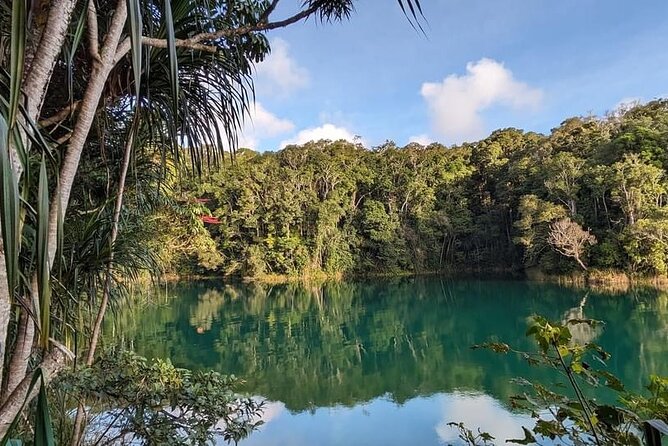 Full-day Tour at the Atherton Tablelands with Food Tasting - Key points at a glance