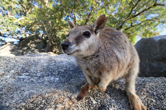 Full-day Tour at the Atherton Tablelands with Food Tasting - Why this Cairns day trip covers so much