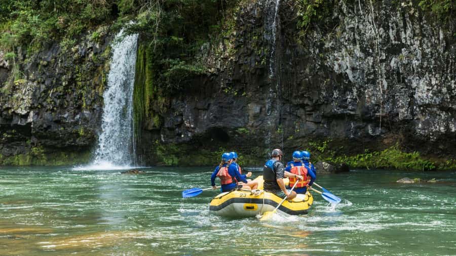 Full Day White Water Rafting From Cairns or Mission Beach - The Tully River is the main event