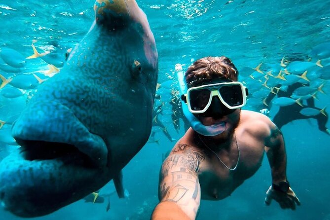 Full-Day Whitsunday Sail and Snorkel Adventure with Lunch - Lunch, snacks, and your own drinks