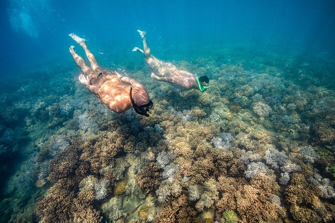 Full-Day Whitsunday Sail and Snorkel Adventure with Lunch - The long ride back ends with sunset