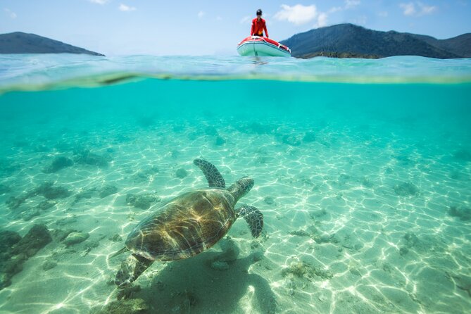Full-Day Whitsunday Sail and Snorkel Adventure with Lunch - Who should choose this Langford Island trip?