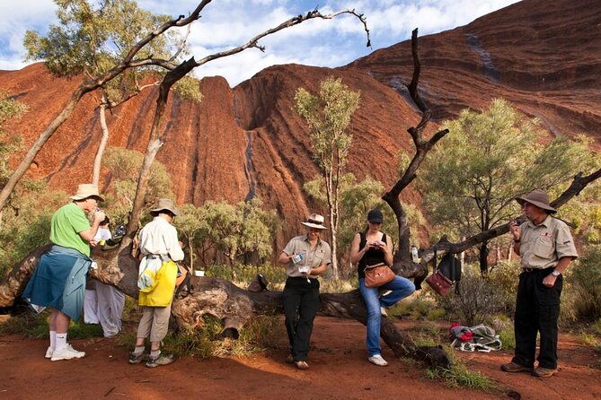 Full Uluru Base Walk at Sunrise Including breakfast - What the picnic breakfast is really like