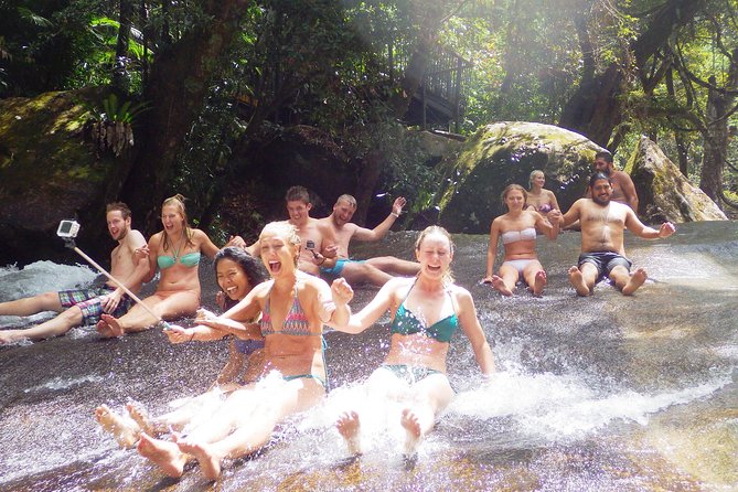 Fun, Falls and Forests Day Trip from Cairns - The Falls Teahouse breaks up the swimming