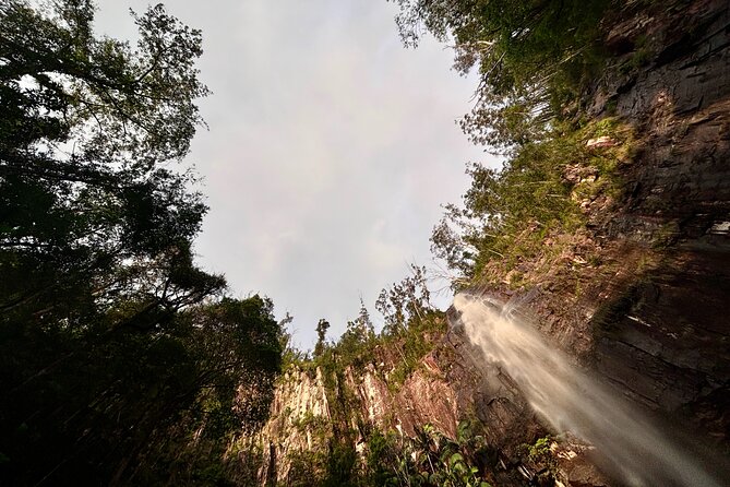 Glow-worms, Waterfalls & Rainforest Experience - What the $99.70 price really covers