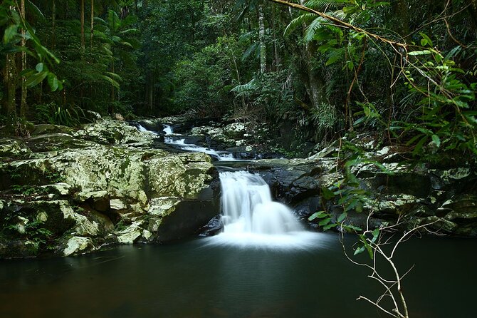 Glow-worms, Waterfalls & Rainforest Experience - Who will enjoy this most