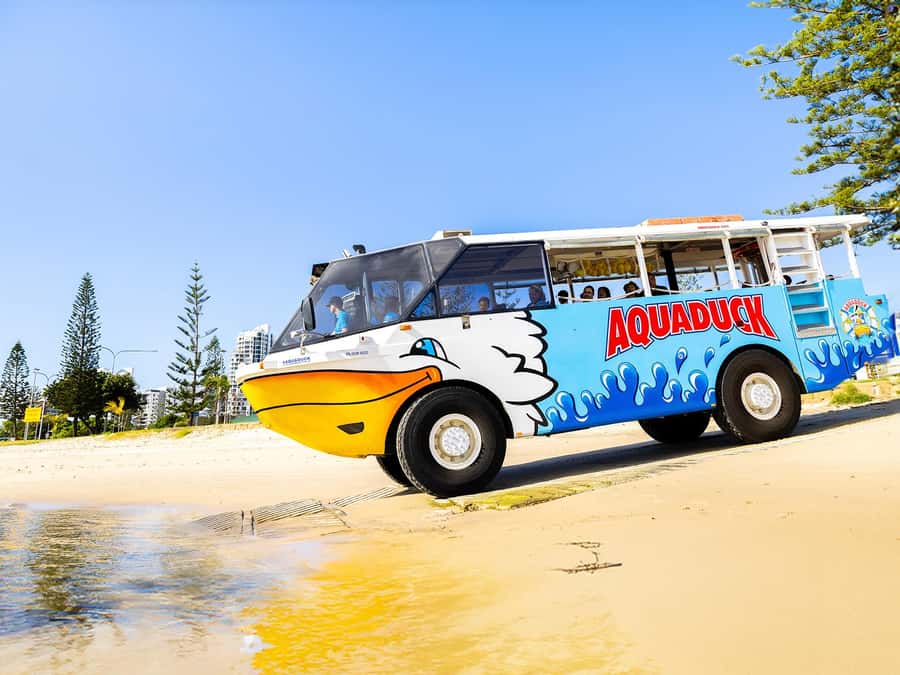 Gold Coast: 1-Hour Land and Water Duck Tour - Quick points before you book
