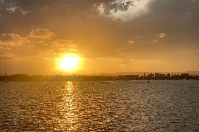 Gold Coast 2 hour Sunset Sailing Cruise with Drinks&Tasting Plate - Dolphins and sea turtles: welcome possibilities, not guarantees