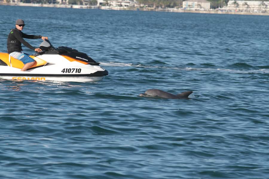 Gold Coast: 30 min Jet Ski Hire - No Slow Zones - What happens before you touch the throttle