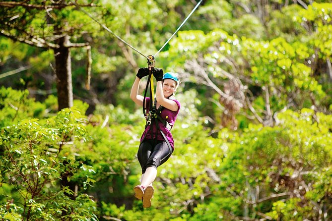 Gold Coast Canyon Flyer Zipline Tour - Why the Canyon Flyer feels different
