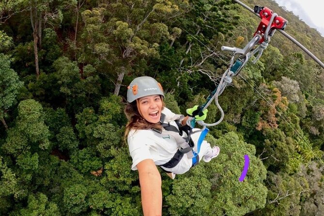 Gold Coast Canyon Flyer Zipline Tour - Starting at TreeTop Challenge Mt Tamborine