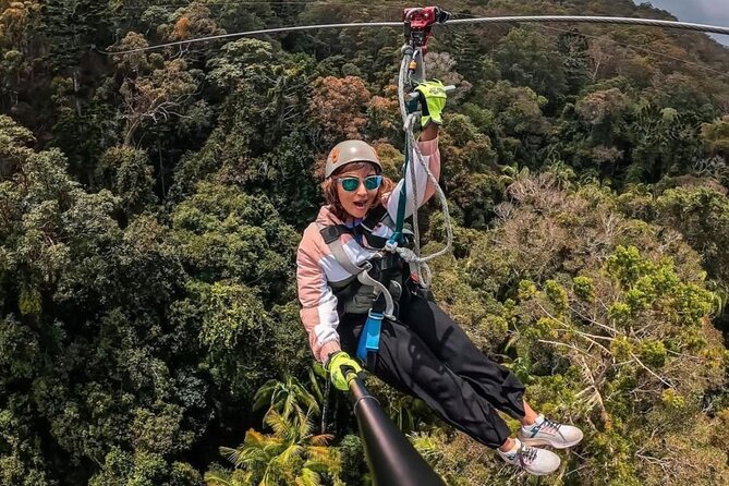 Gold Coast Canyon Flyer Zipline Tour - The Mount Tamborine forest from 70 metres up