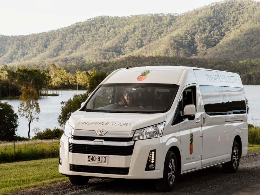 Gold Coast: Daytime Glow Worm Caves and Hop-on Hop-off Tour - Key points to know before booking