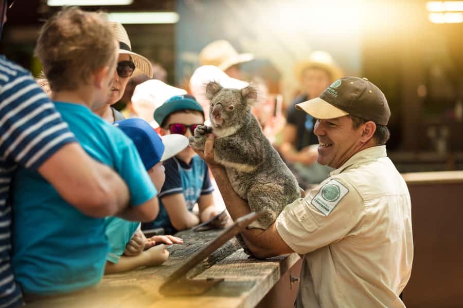 Gold Coast: Dreamworld 1-Day Entry Ticket - Who will enjoy Dreamworld most