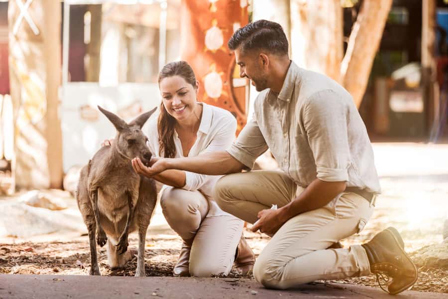Gold Coast: Dreamworld 1-Day Entry Ticket - The headline rides for serious thrill seekers