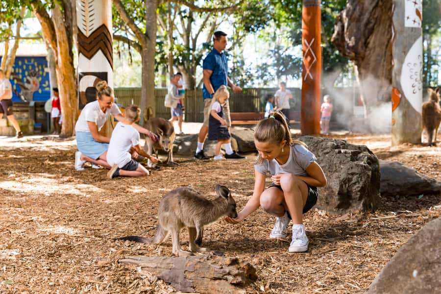 Gold Coast: Dreamworld & SkyPoint 2-Day Ticket - Who Will Get the Most From the $91 Price
