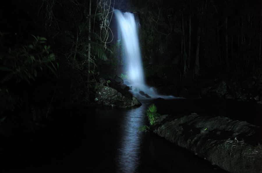 Gold Coast: Evening Rainforest and Glow Worm Experience - Cake, hot chocolate, and a view over the coast