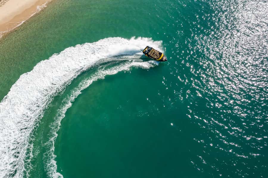Gold Coast: Extreme Jet Boat Blast Ride - Wildlife adds a quieter side