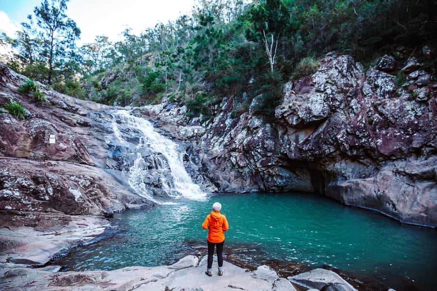 Gold Coast: Hop on Hop off Bus to Tamborine Mountain - Gallery Walk, coffee, gardens, and local shopping