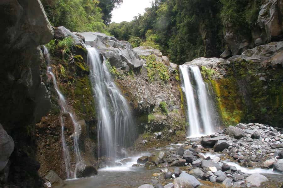 Gold Coast: Hop on Hop off Bus to Tamborine Mountain - Comfort, timing, and the practical details