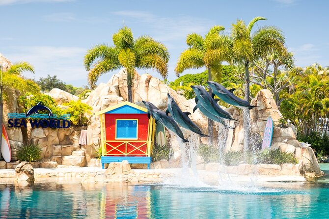 Gold Coast Hop On Hop Off Sightseeing Cruise 1 Day Pass - How the five-stop route works