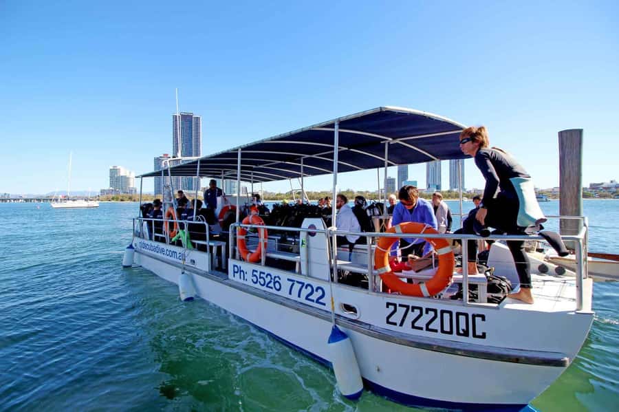 Gold Coast: Introductory SCUBA Diving Experience - Key points to know before booking