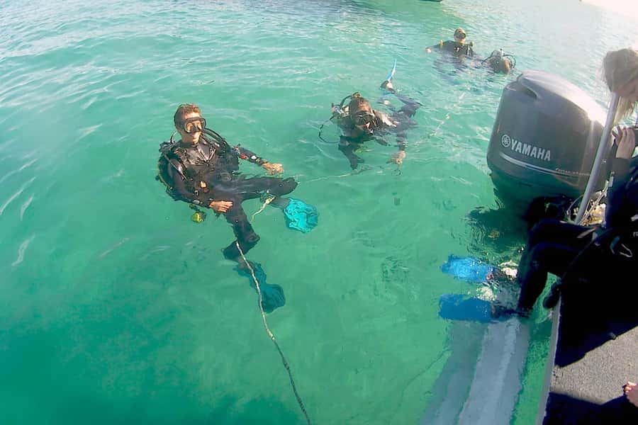 Gold Coast: Introductory SCUBA Diving Experience - Learning the equipment in calm water