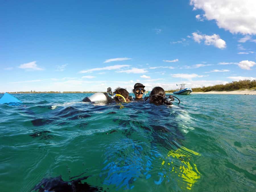 Gold Coast: Introductory SCUBA Diving Experience - Meeting the fish around Wave Break Island