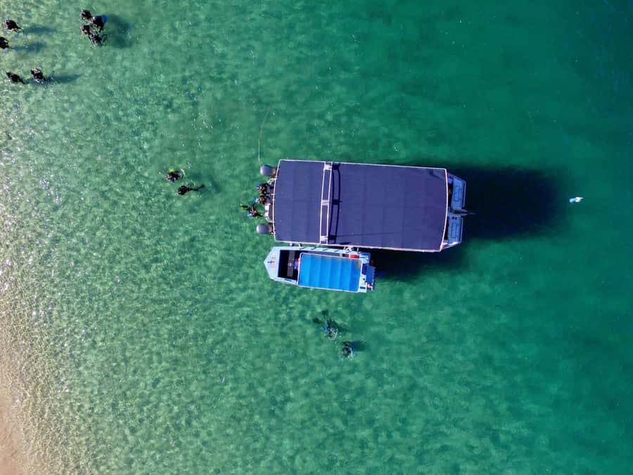 Gold Coast: Introductory SCUBA Diving Experience - Snorkeling, boogie boards, and time back on the boat