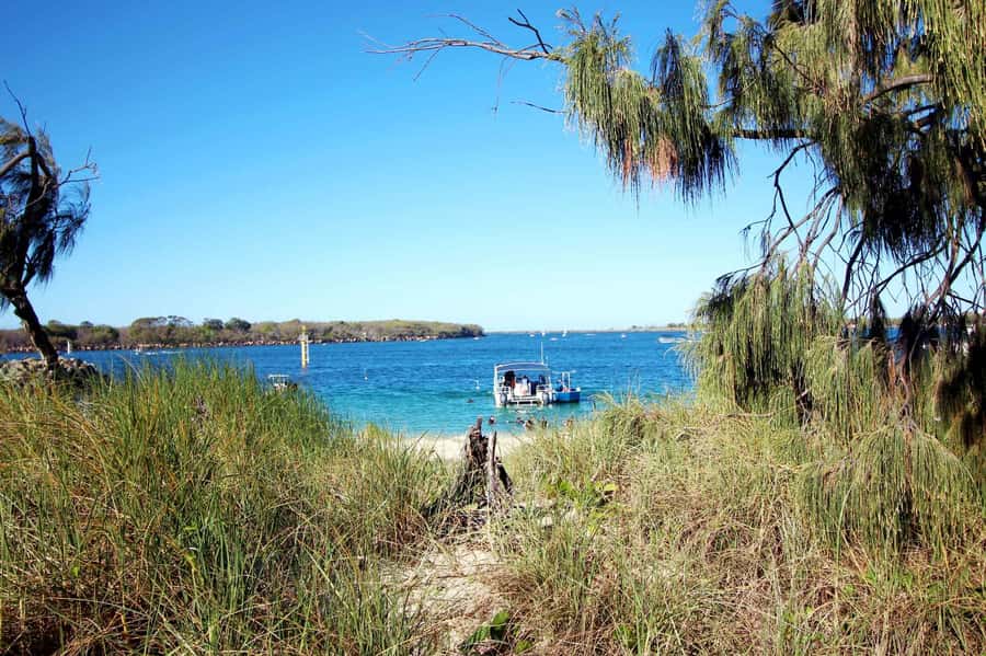 Gold Coast: Introductory SCUBA Diving Experience - What the $91 price includes
