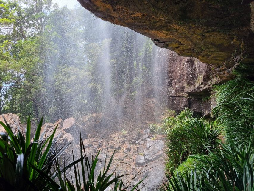 Gold Coast: Kangaroos, Rainforest & Waterfalls Experience - What the walking feels like
