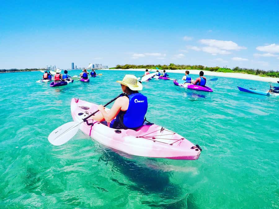 Gold Coast: Kayaking and Snorkeling Guided Tour - Paddling across the Southern Moreton Bay waterways