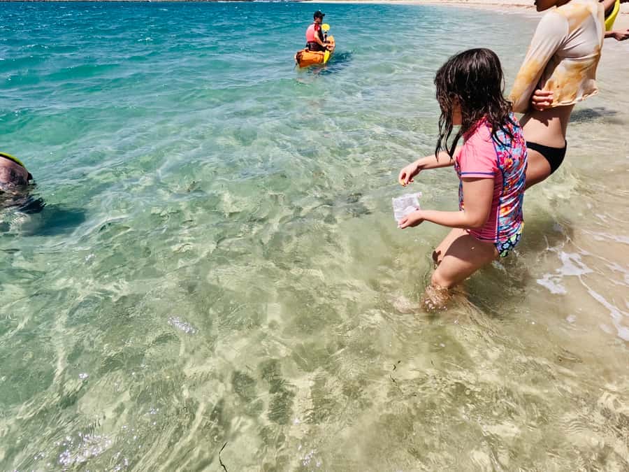 Gold Coast: Kayaking and Snorkeling Guided Tour - What the two-hour schedule really means