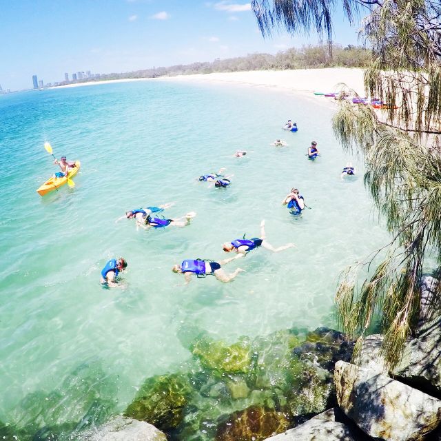 Gold Coast: Kayaking and Snorkeling Guided Tour - Who will enjoy this tour most?
